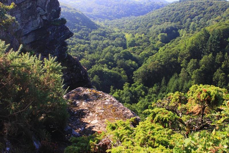 Вилла La Grange Taillebois Экстерьер фото